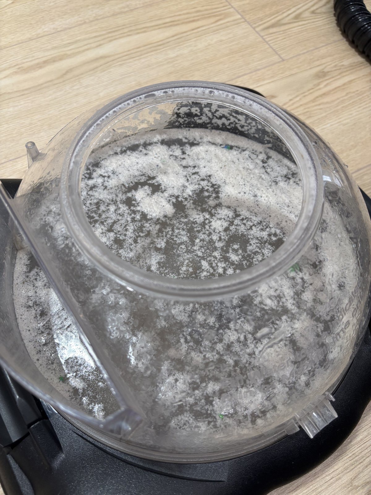 除蟎成果實拍